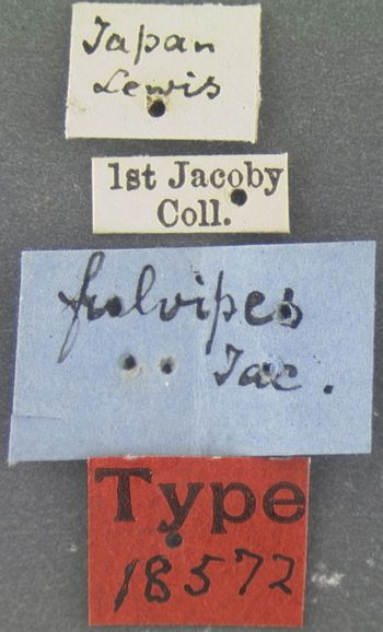 Media type: image; Entomology 18572   Aspect: labels